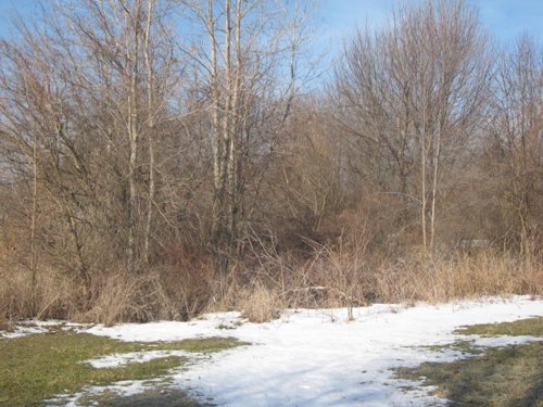 Property photo 5 - 1900's All Brick Home, Metal Frame Barn on 3.42 Acres